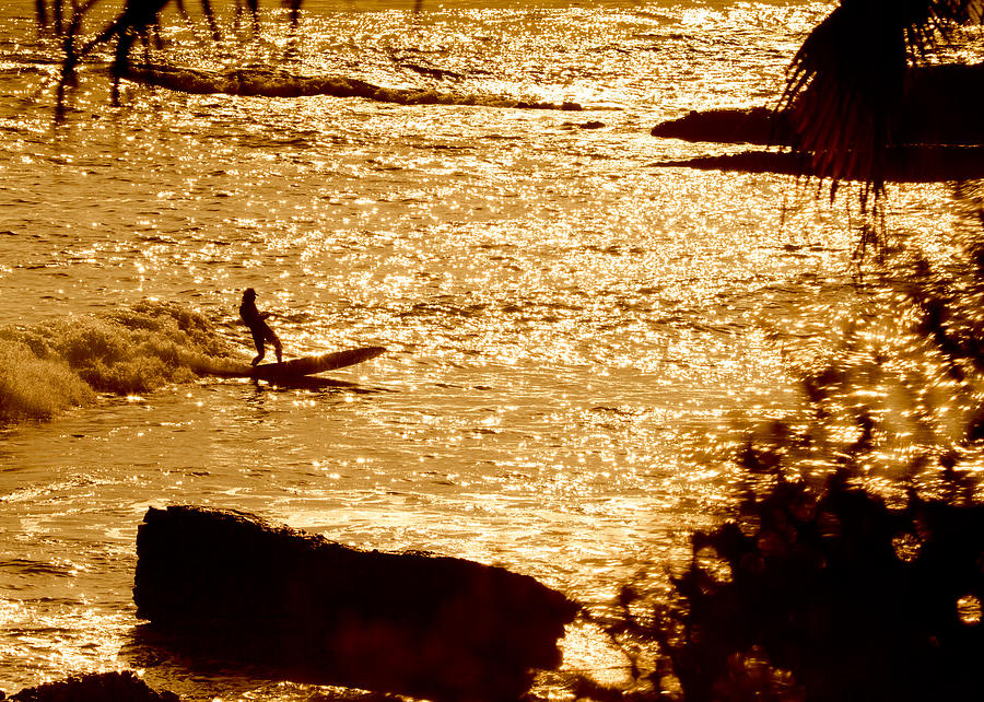 Golden Hour Longboarding Photograph by Andy Langeland - Fine Art America