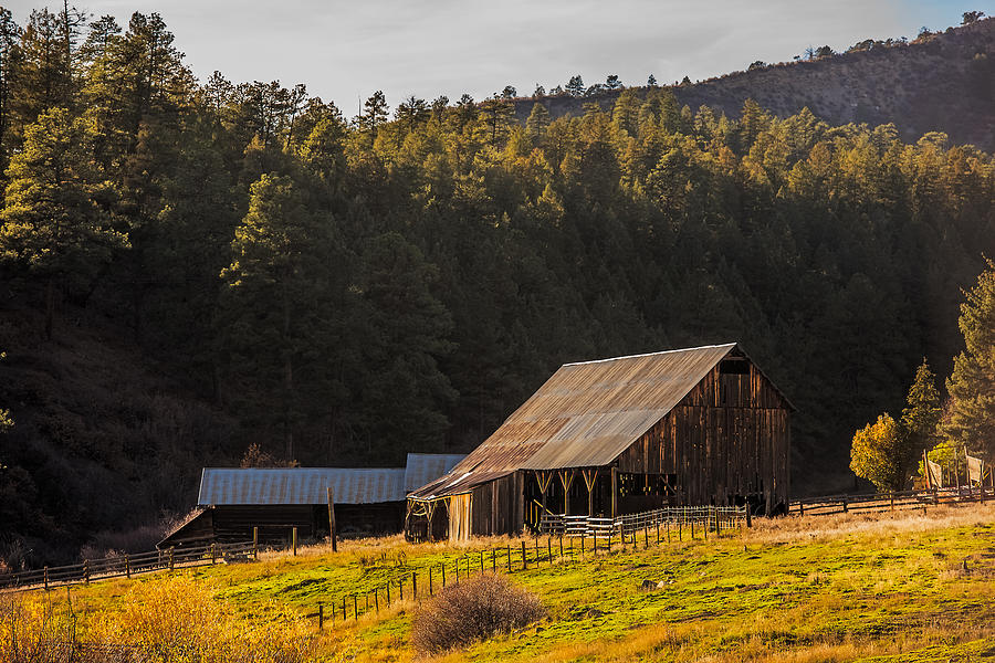 Golden Hour on Colorado Barn Photograph by Paul Freidlund