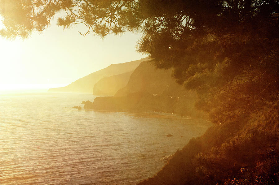 Golden Hour On The Big Sur Coastline Photograph by Tracy Packer Photography