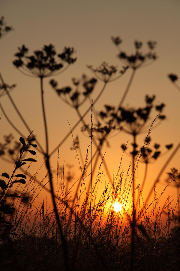 Sunset Photograph - Golden Hour by Paul Lilley