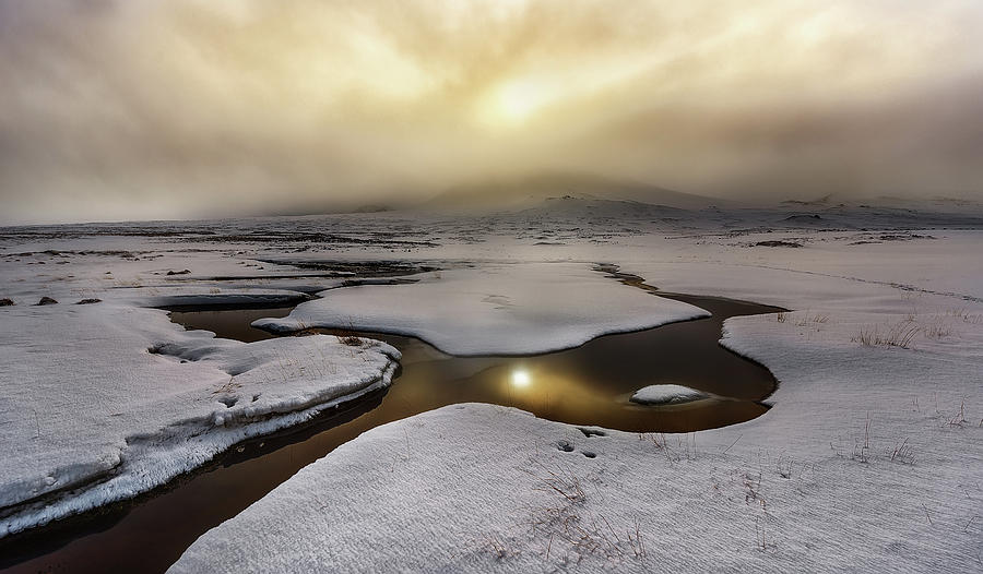 Golden Iceland Photograph by Javier De La