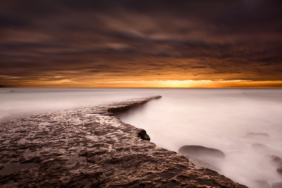 Golden Photograph by Jorge Maia