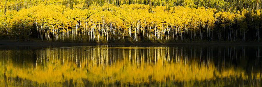 Fall Photograph - Golden Lake by Chad Dutson