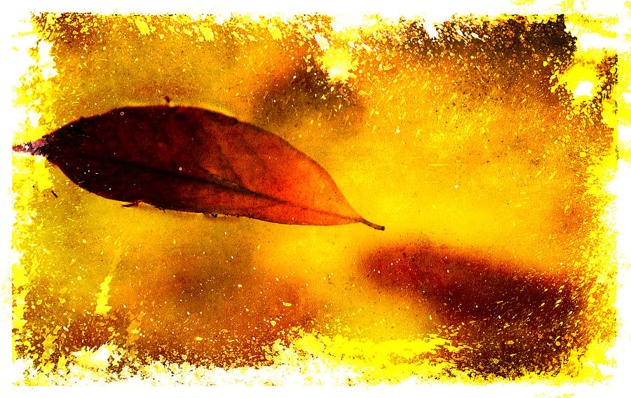 Golden Leaf 2 Photograph by Jenny Rainbow