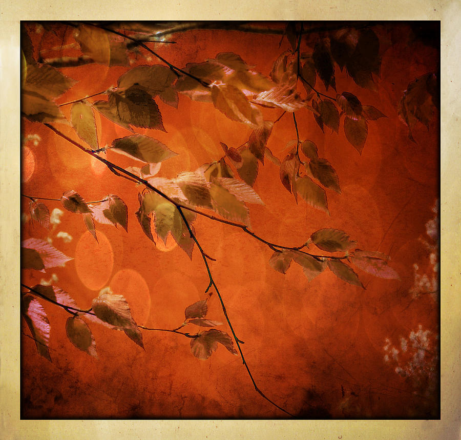 Golden Leaves-1 Digital Art by Nina Bradica