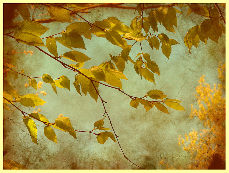 Golden Leaves-2 Digital Art by Nina Bradica