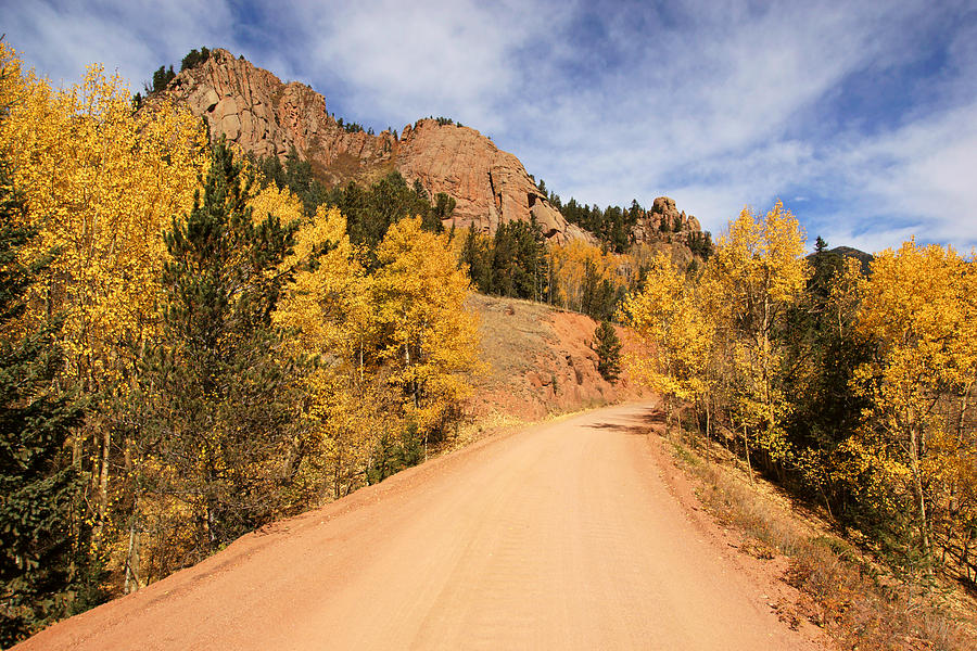Golden Leaves along Gold Camp Road No.10 Photograph by Daniel Woodrum