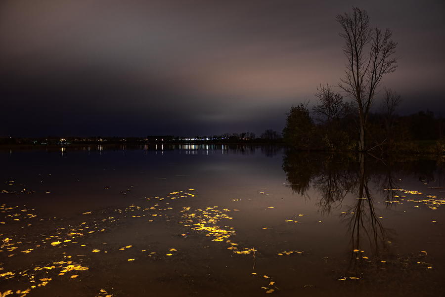 Golden Leaves On Lake Wausau Photograph by Dale Kauzlaric