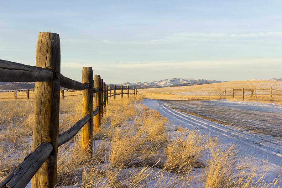 Rural Scene Photograph - Golden light along the fence line by Dana Moyer