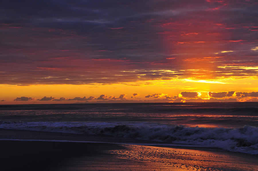Beach Photograph - Golden Light by Dan Myers