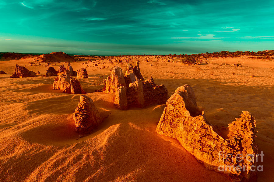 Desert Photograph - Golden Light Falls by Julian Cook