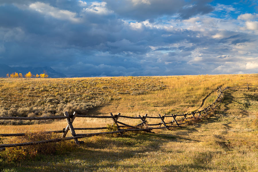 Golden Light on a Stormy Prairie Photograph by Kathleen Bishop