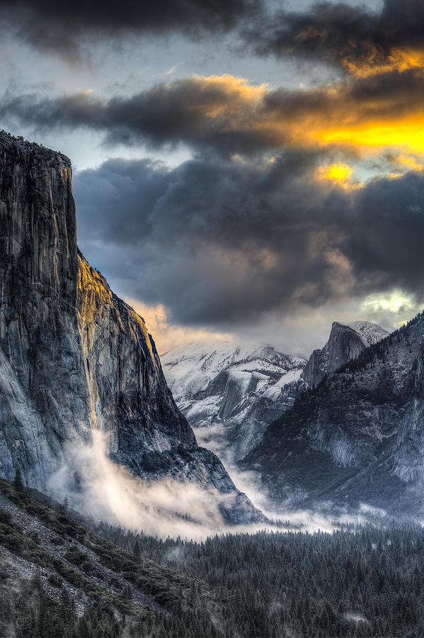 Yosemite National Park Photograph - Golden Light on El Capitan by Mike Lee