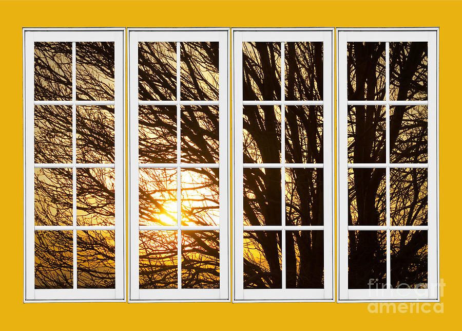 Nature Photograph - Golden Light Shining Through Picture Window View by James BO Insogna