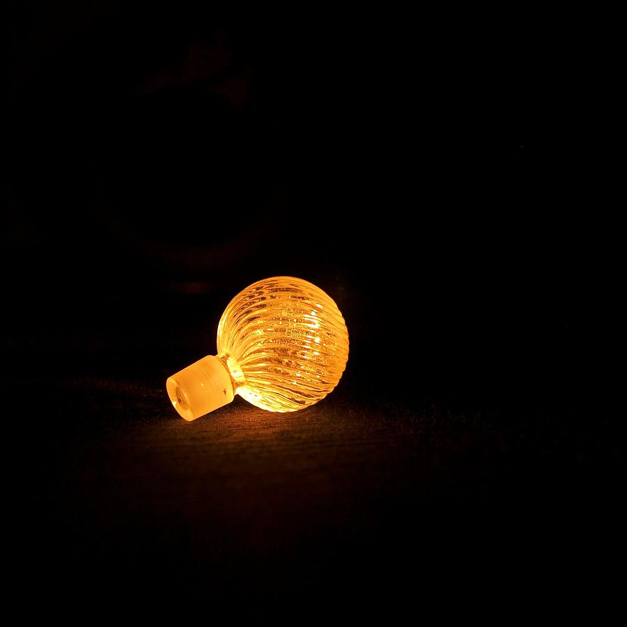 Golden Light Photograph by Tom Druin