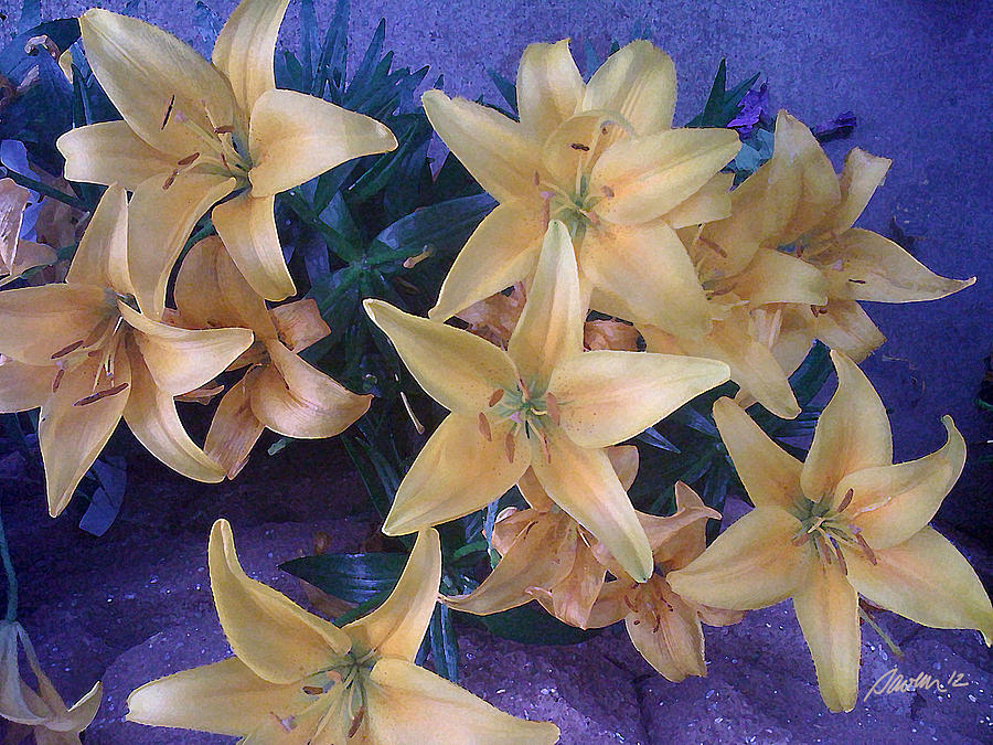 Golden Lilies Painting by Jim Pavelle