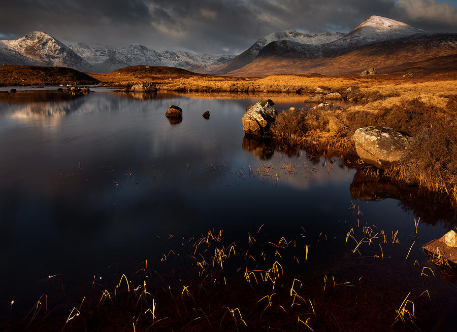 Golden Loch Photograph by Adrian Metzelaar