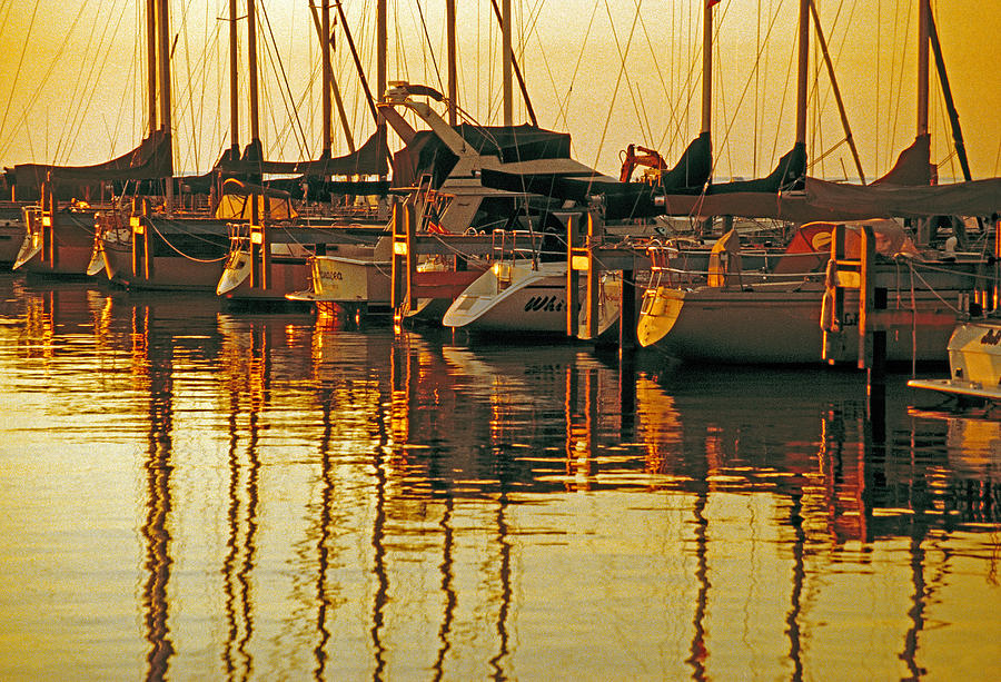 Golden marina Photograph by Dennis Cox