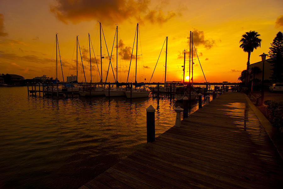 Golden Marina Photograph by Kevin Cable