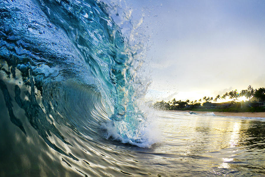 Nature Photograph - Golden Mile by Sean Davey