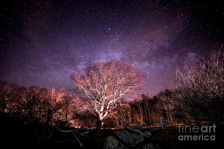Golden Milky Way Photograph by Robert Loe