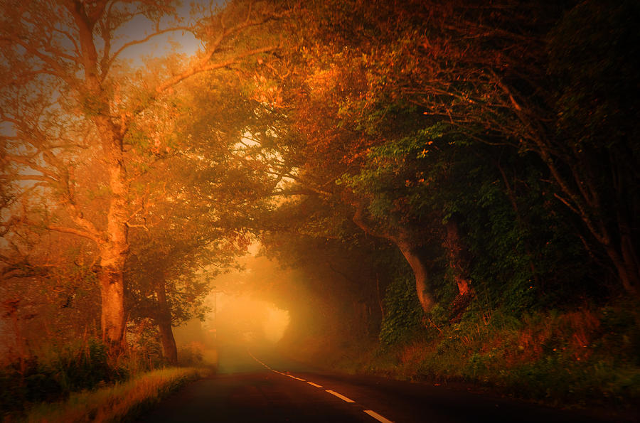 Golden Mist on the Scottish Road Photograph by Jenny Rainbow