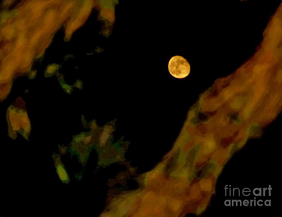 GoLDeN MooN Photograph by Angela J Wright
