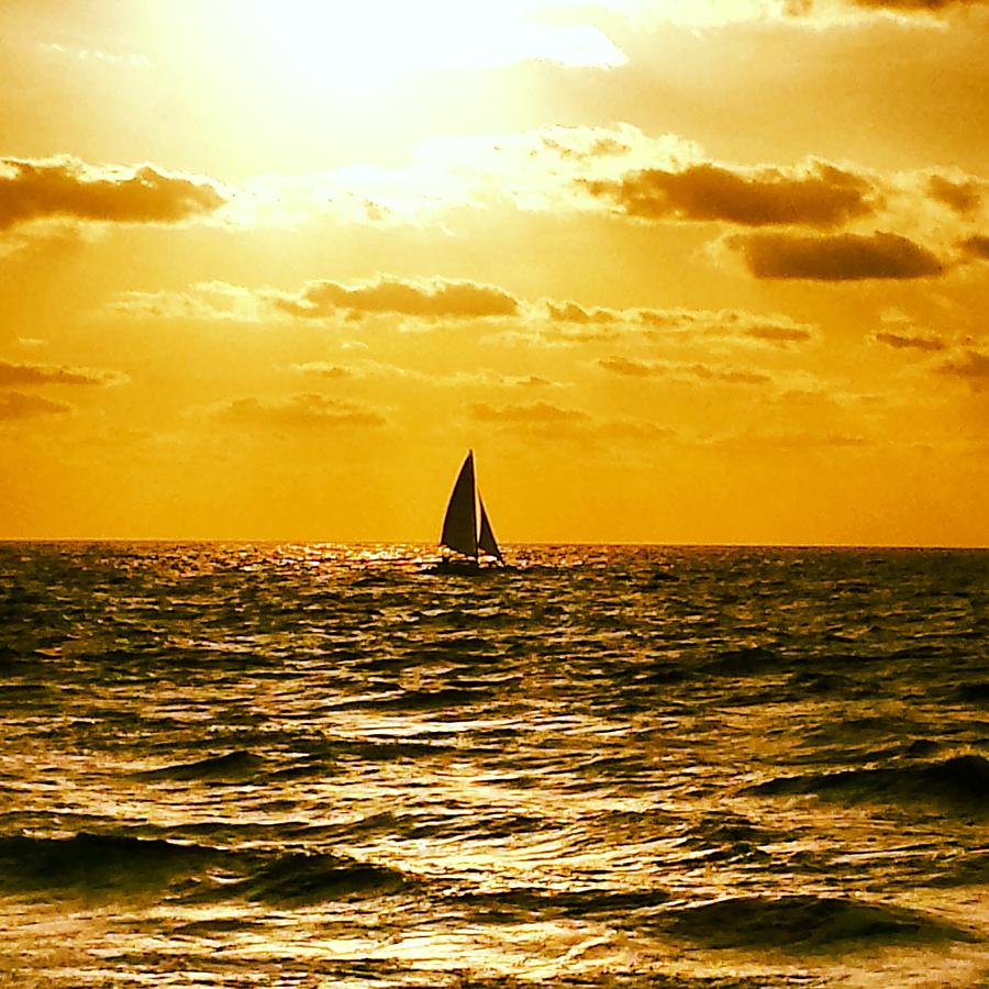 Golden Morning Sail Photograph by Leslie Ann Linzer - Fine Art America