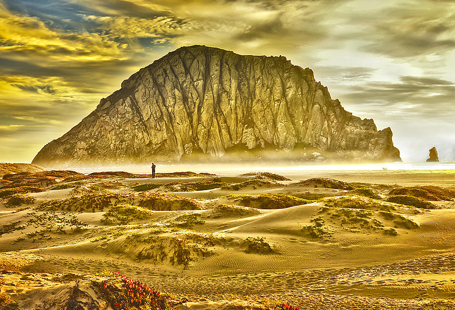 Golden Morro Bay Photograph by Camille Lopez