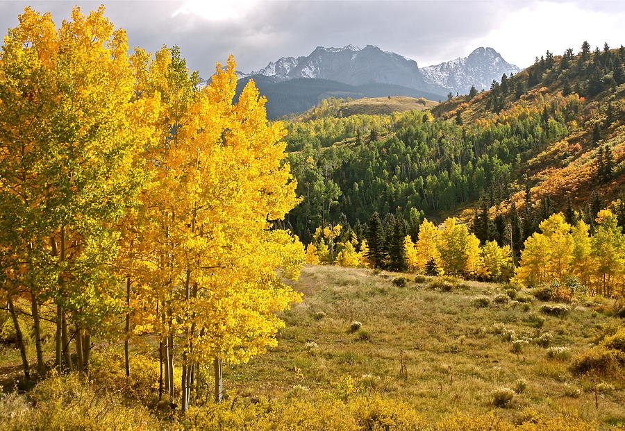 Golden Mountain Scene Photograph by Jill Myers - Fine Art America