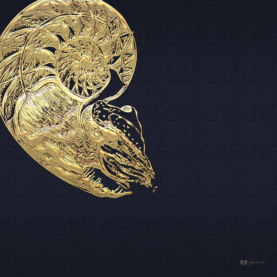 Golden Nautilus on Charcoal Black Digital Art by Serge Averbukh