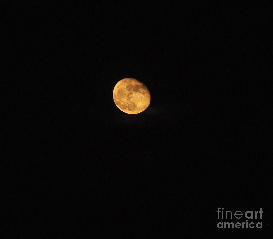 Golden October Moon Photograph by Jay Milo