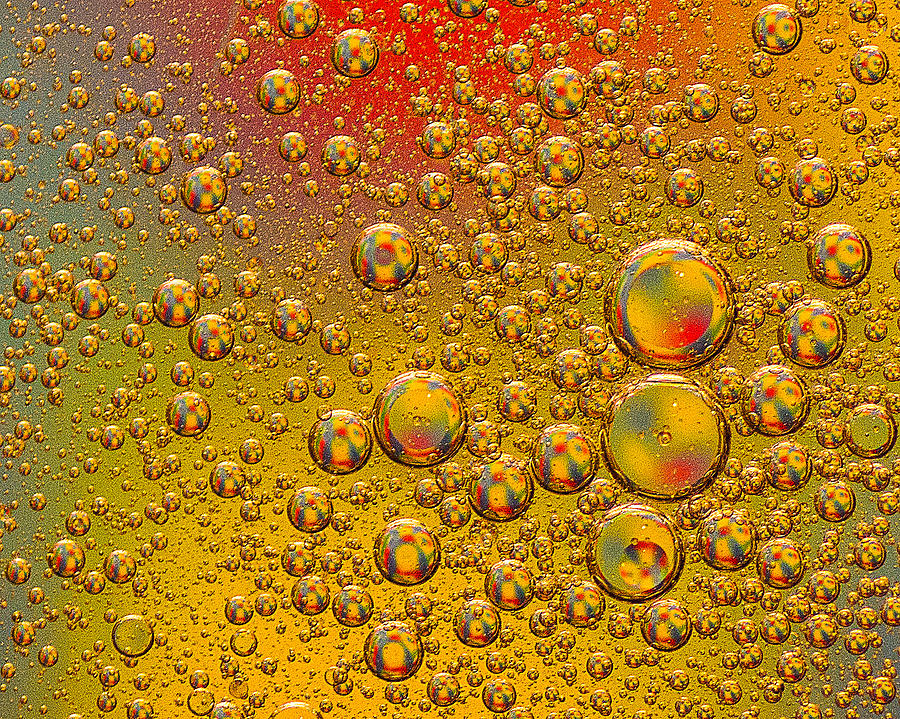 Golden Oil drops Photograph by Lowell Monke
