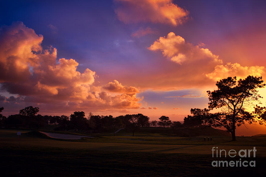 Golden Orange Blue Sunset At Torry Pines Golf Course Photograph by