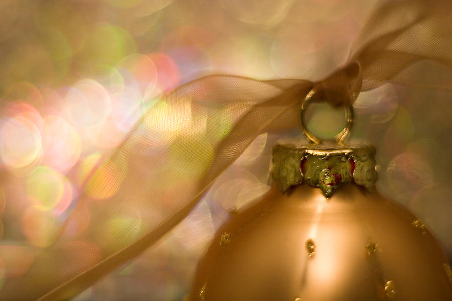 Christmas Photograph - Golden Ornament with Ribbon by Carol Leigh