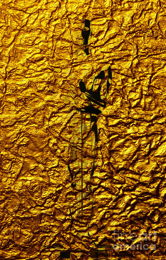 Golden Oscar Digital Art by Mindy Bench