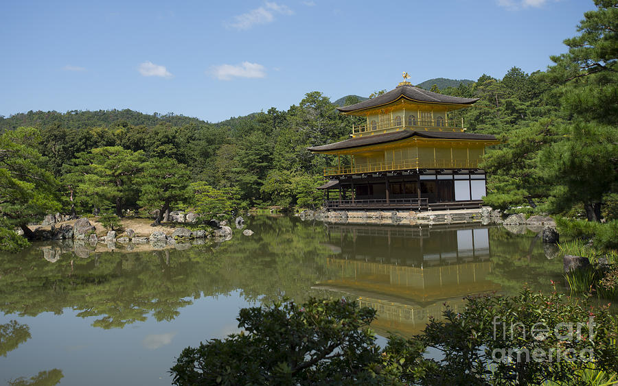 Golden Pavilion - Kyoto Photograph by David Bearden