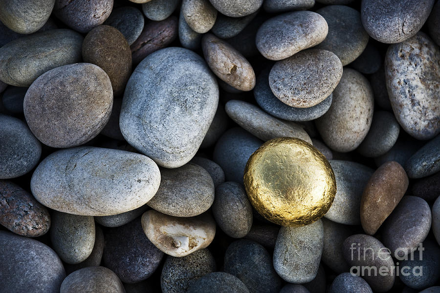 Pebbles Photograph - Golden Pebble by Tim Gainey