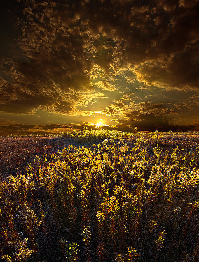 Landscape Photograph - Golden by Phil Koch