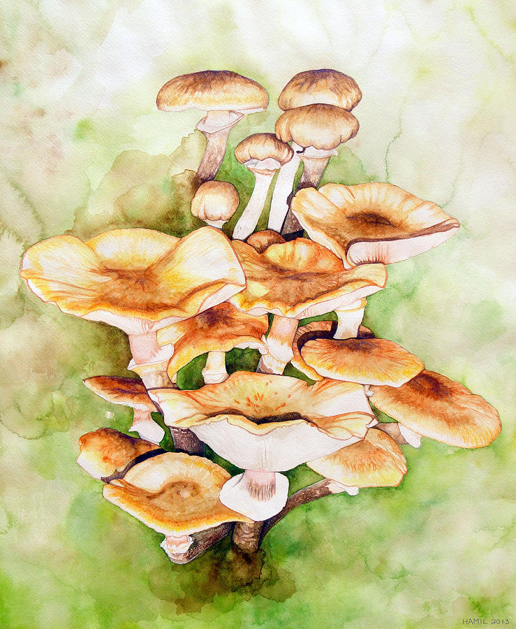 Online Art Gallery Painting - Golden Pholiota Mushroom by Alison Hamil
