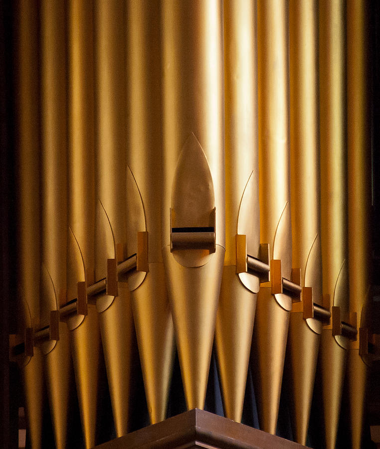 Golden pipes Photograph by Jenny Setchell