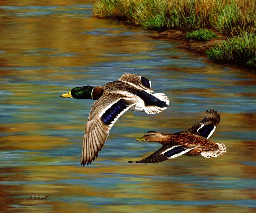 Duck Painting - Golden Pond by Crista Forest