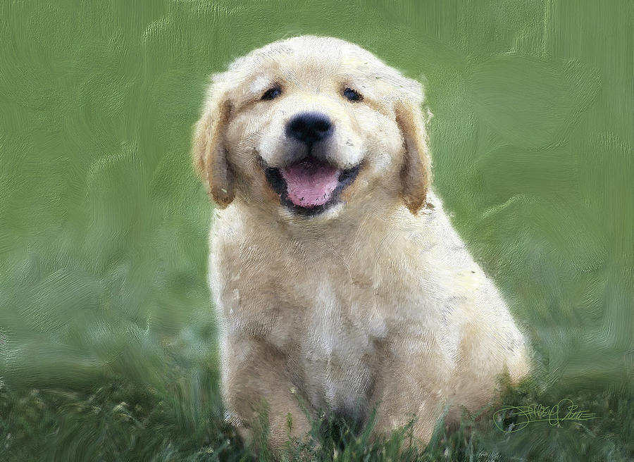 Golden Pup Digital Art By Jeffrey Pittle