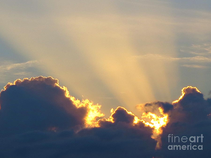 Golden Rays from the Sunset No 12 Photograph by Robert Birkenes