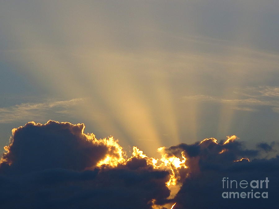 Golden Rays from the Sunset No 14 Photograph by Robert Birkenes