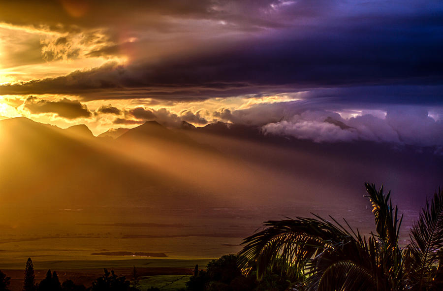 Golden Rays Photograph by Mike Neal
