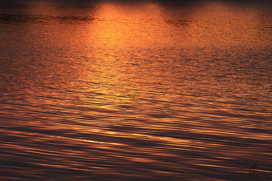 Golden Reflections Photograph by Chris Thomas