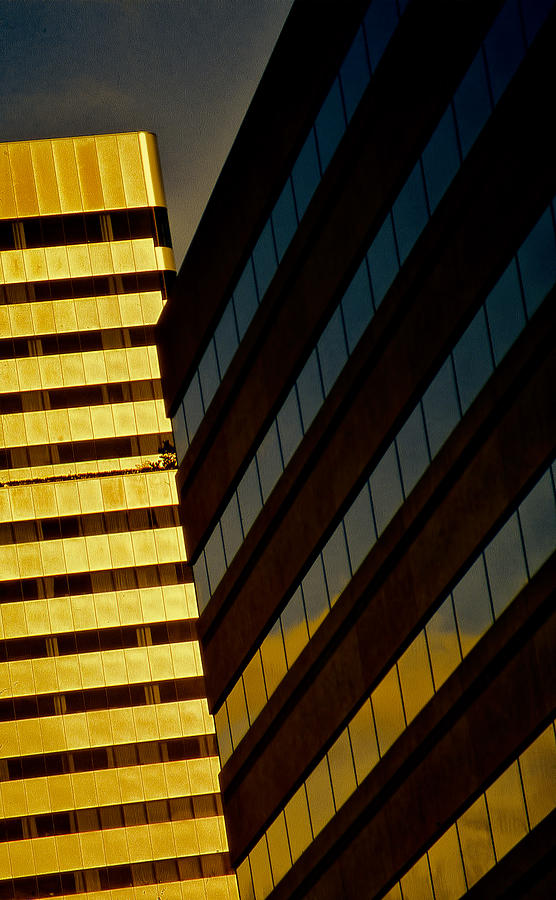 Golden Reflections City View Photograph by Cathy Anderson