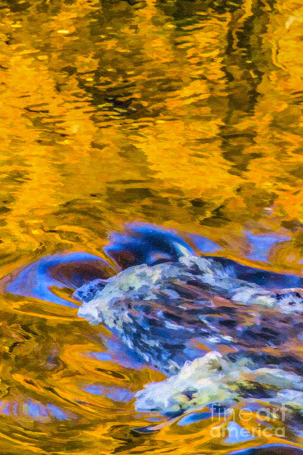 Golden Reflections Digital Art by Liz Leyden