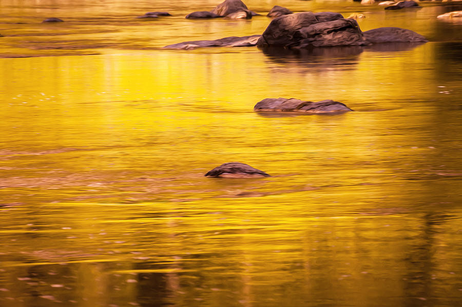 Golden Reflections North Fork Flathead River Painted Photograph by Rich Franco